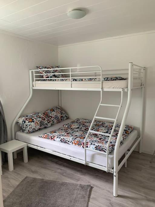 ווינטרברג Ferienwohnung Bergblick מראה חיצוני תמונה